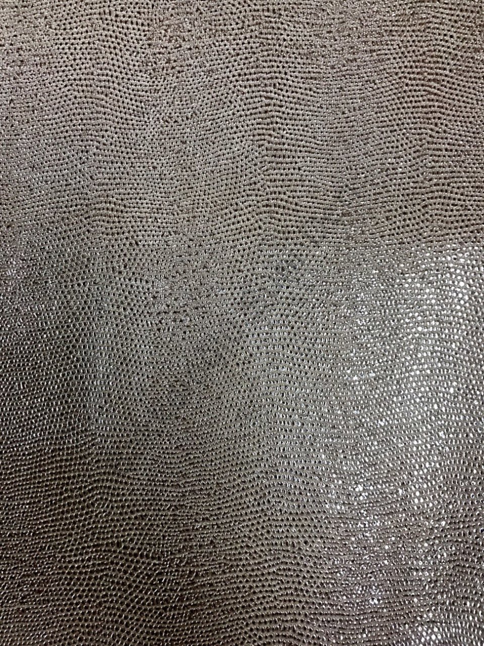 İguana Parlak Vizon