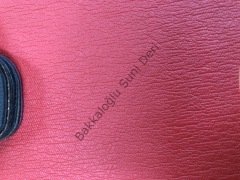 Okaliptus Kırmızı