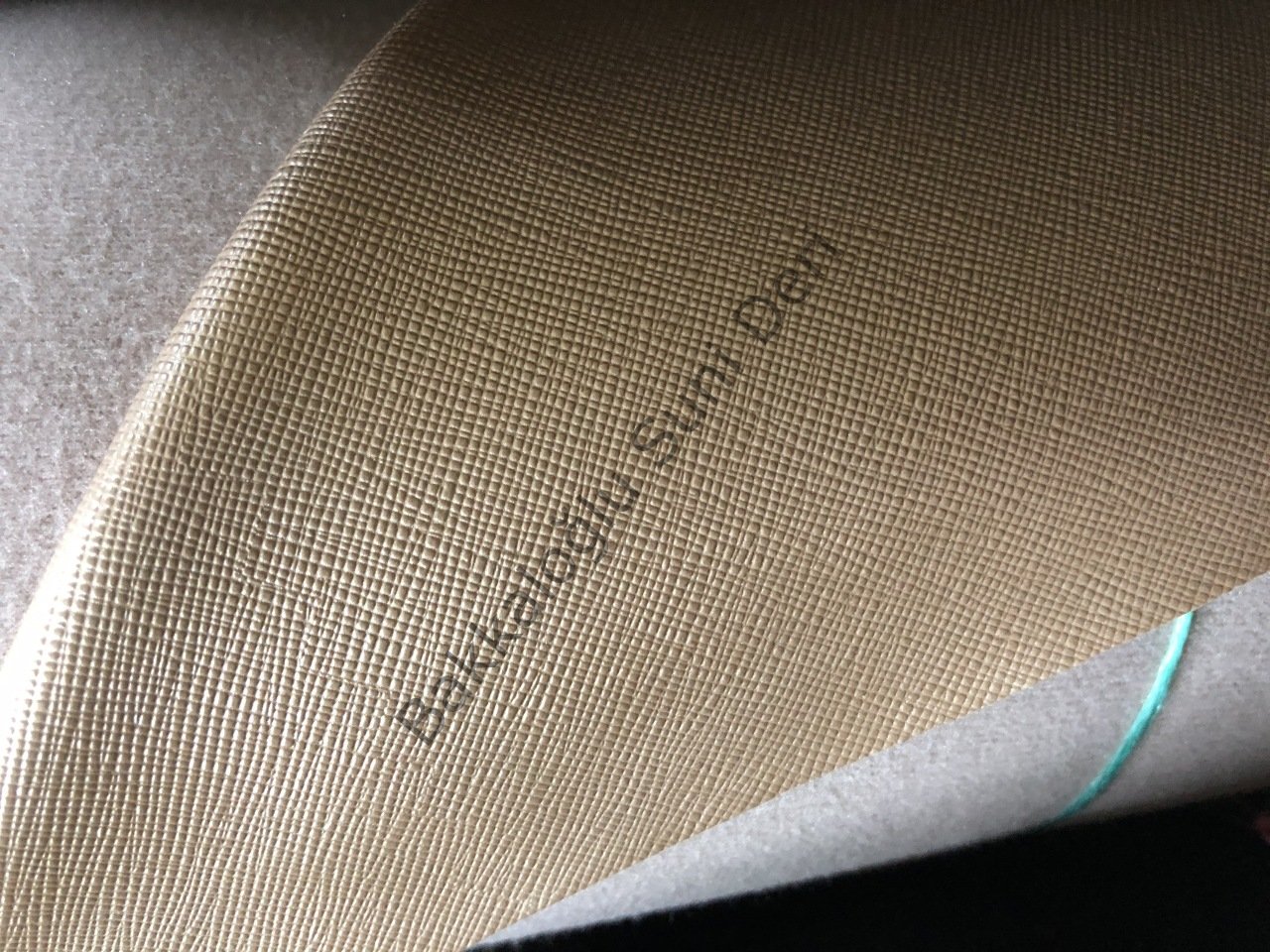 Raşel Ayk Lilda Metalik Pudra