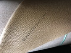 Raşel Ayk Lilda Metalik Pudra