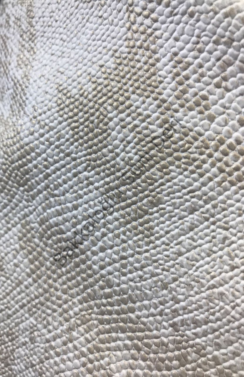 İguana- Yılan Beyaz