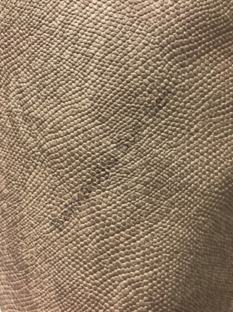 İguana- Yılan Kapiçino