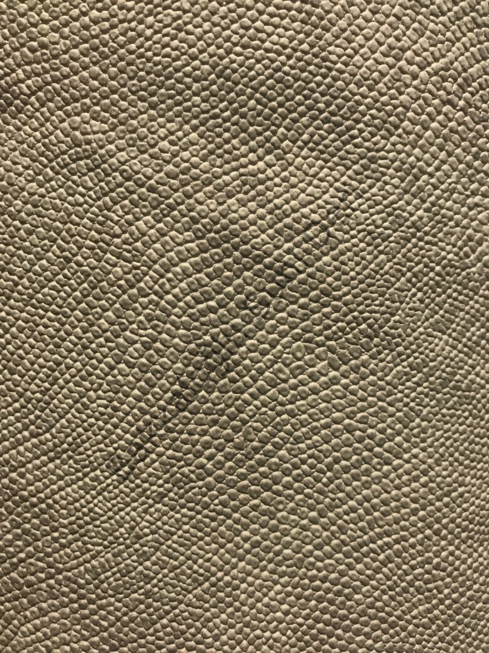 İguana- Yılan Vizon