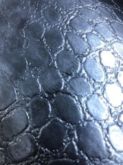 Büyük Kroko Gümüş