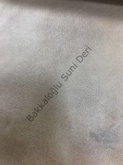 Tuana Emprimeli Vizon