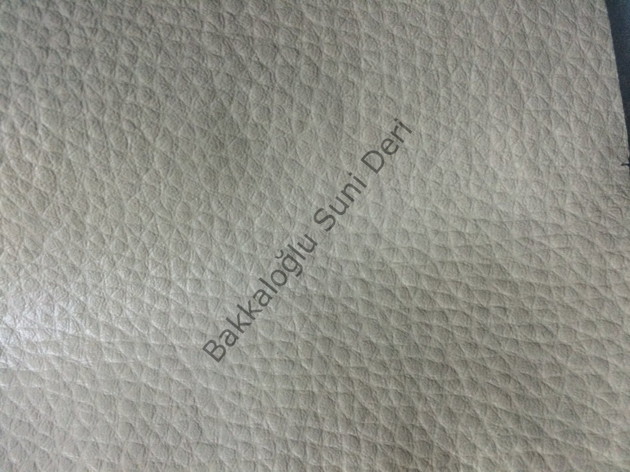 Döşemelik Dollaro Bej