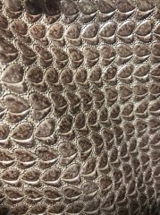 Sarmaşık GMT Vizon