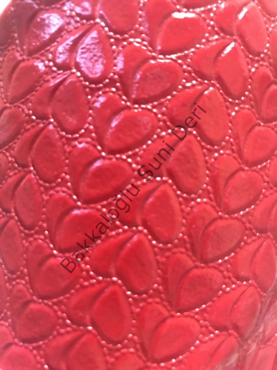 Sarmaşık Nar Çiceği